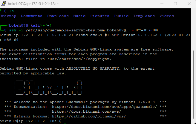 pic12 - ssh check client Create a Reverse SSH Tunnel to a Bitnami Guacamole AWS EC2 Instance
