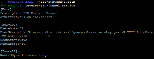 pic14 - systemd file Create a Reverse SSH Tunnel to a Bitnami Guacamole AWS EC2 Instance